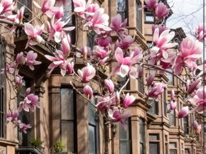 680 Carroll Street 4, Brooklyn NY 11215