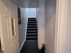 1718 Williamsbridge Road, Bronx NY 10461