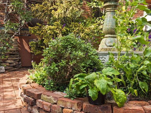 607 Manhattan Avenue 2, Brooklyn NY 11222