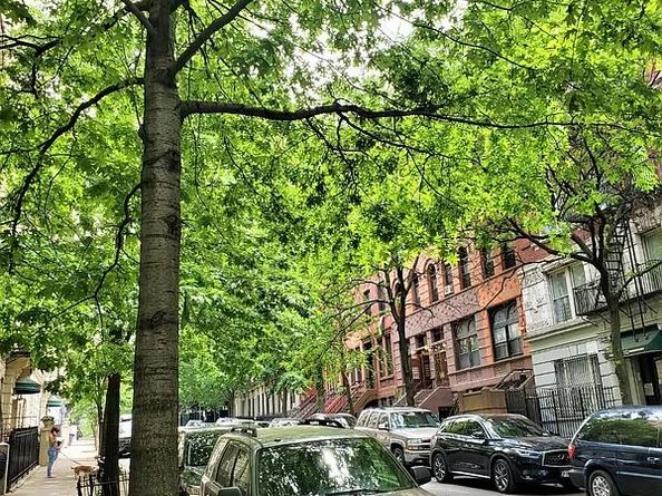 515 West 143rd Street 34, New York NY 10031