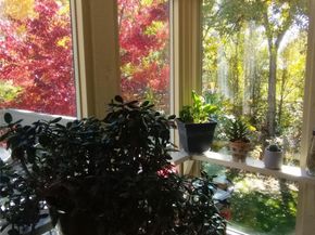 781 Carr Street, Lakewood CO 80214