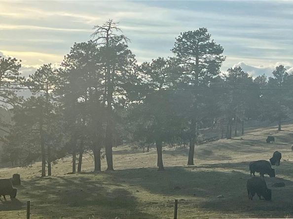 25924 Gateway Drive, Golden CO 80401