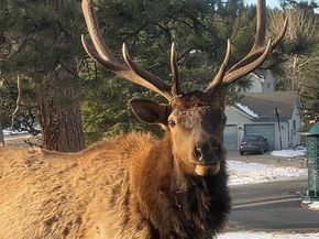 25924 Gateway Drive, Golden CO 80401