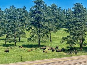 25924 Gateway Drive, Golden CO 80401