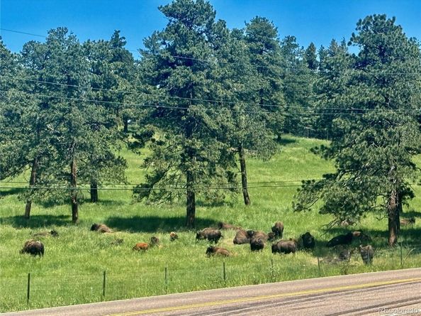 25924 Gateway Drive, Golden CO 80401