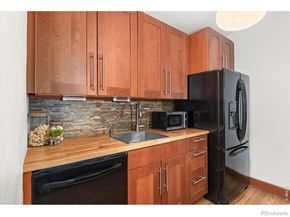 1446 N Gilpin Street 1, Denver CO 80218