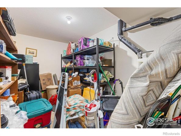 237 Cardinal Way, Longmont CO 80501