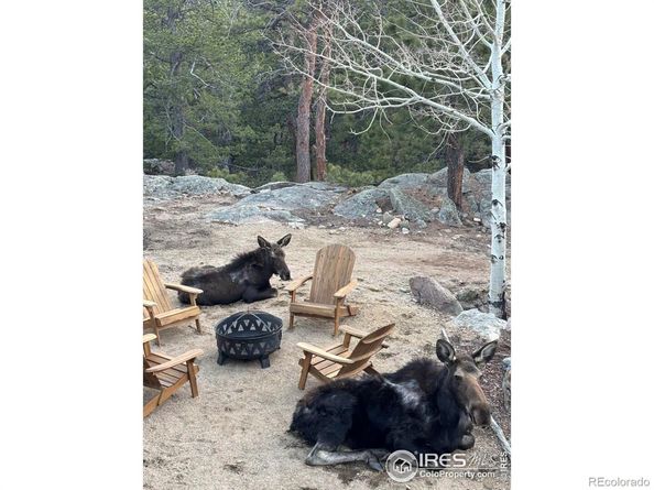 31911 Warrens Road, Golden CO 80403