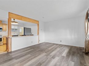 13041 Olmsted Place, Denver CO 80239