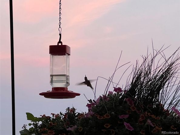 7485 S Jackson Gap Way, Aurora CO 80016