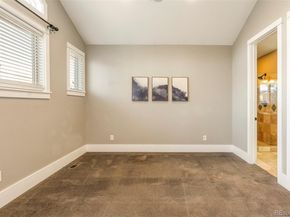 943 N Clarkson Street, Denver CO 80218