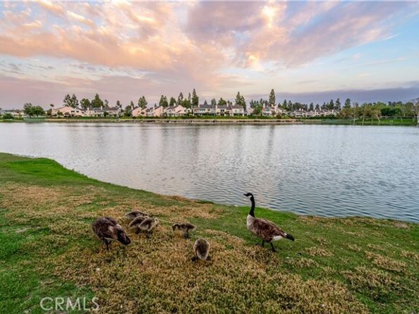 8 Sandpiper, Irvine CA 92604