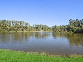 27918 Hansons Court, Spring TX 77386
