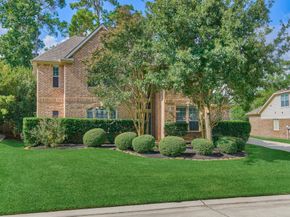 58 S Bardsbrook Circle, The Woodlands TX 77382