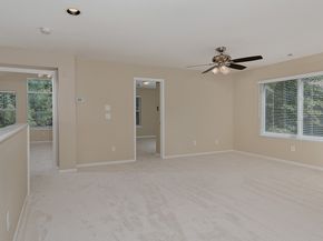 48 W New Avery Place, The Woodlands TX 77382