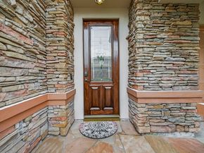 11938 Rosebrier Park Lane, Houston TX 77082