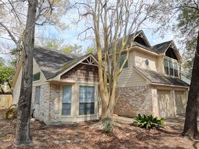 3 Rain Walk Court, The Woodlands TX 77380