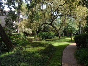 2100 Tanglewilde Street 740, Houston TX 77063