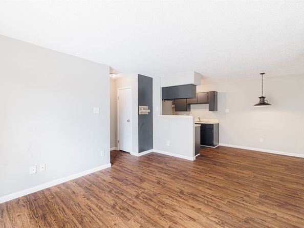 2750 Holly Hall Street 1216, Houston TX 77054