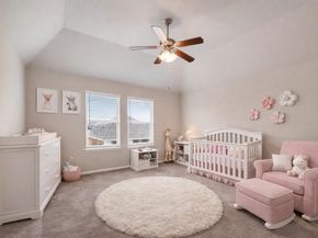 2903 Painted Sunrise Trail, Houston TX 77045