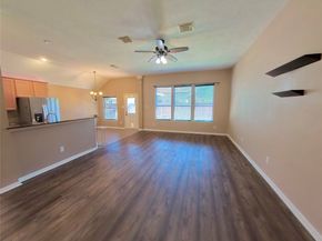 30938 Blue Ridge Park Lane, Spring TX 77386
