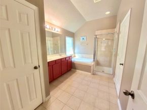30938 Blue Ridge Park Lane, Spring TX 77386