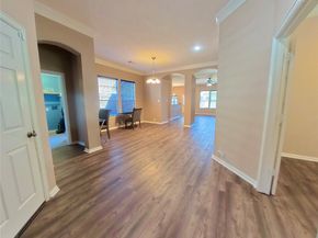 30938 Blue Ridge Park Lane, Spring TX 77386