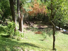 1901 W 14th 1/2 Street C, Houston TX 77008