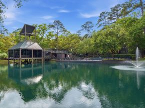 160 Litchfield Lane, Houston TX 77024