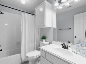 3915 Cinnamon Fern Court, Houston TX 77059