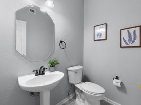 3915 Cinnamon Fern Court, Houston TX 77059