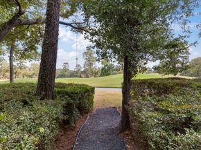 10 Mill Point Place, The Woodlands TX 77380