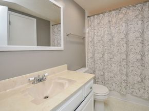 15911 Surrey Woods Drive, Friendswood TX 77546