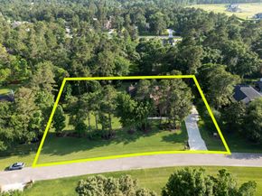 3810 Oreana Court, Spring TX 77386