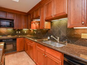 294 Sugarberry Circle, Houston TX 77024