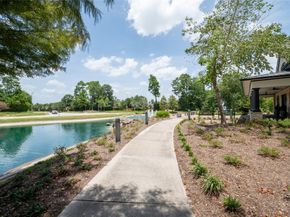 31417 Longwood Park Lane, Spring TX 77386