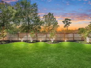 31417 Longwood Park Lane, Spring TX 77386