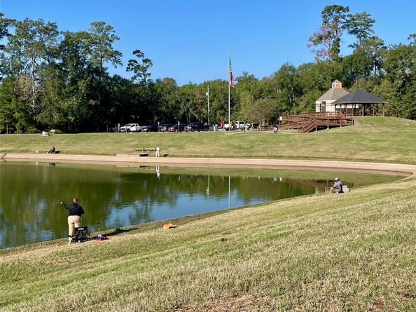 19003 Whitewood Drive, Spring TX 77373