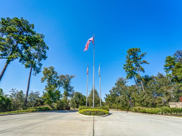 3215 Bushy Hawthorne Drive, Conroe TX 77301