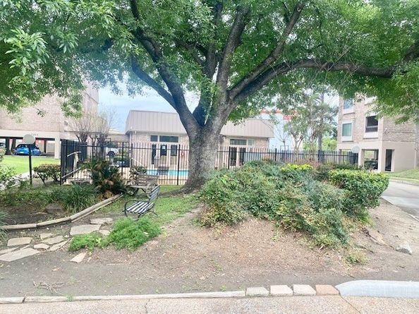 2209 S Braeswood Boulevard 33F, Houston TX 77030