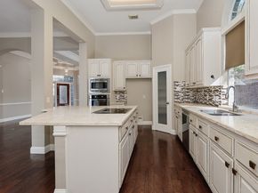 59 W Palmer Bend, The Woodlands TX 77381