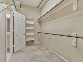 6 Wrenfield Place, The Woodlands TX 77384