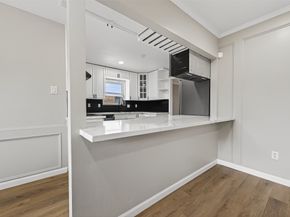 11519 Piping Rock Drive, Houston TX 77077