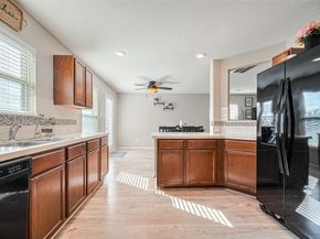 18804 Sinea Drive, Houston TX 77073