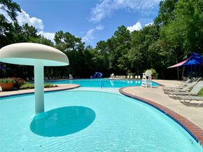 19861 Driver Forest Drive, Porter TX 77365