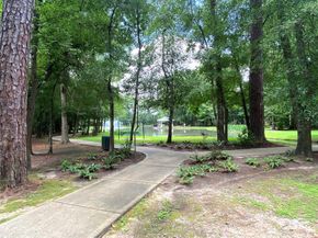 19861 Driver Forest Drive, Porter TX 77365