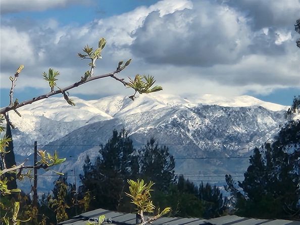 19419 Oxnard Street, Tarzana CA 91356