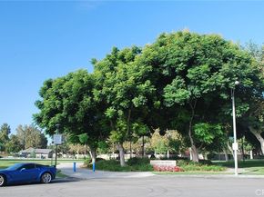 12973 Arlington Lane, Chino CA 91710