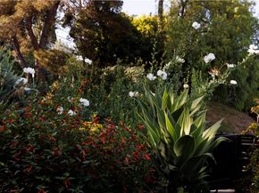 2958 Swan, Los Angeles CA 90026