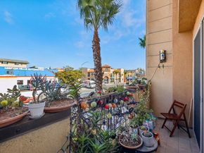 3972 Albatross St 203, San Diego CA 92103